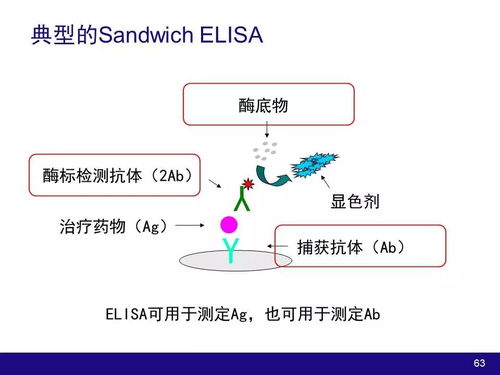生物技術產品及大分子物質開發中的藥動學與藥效學考量