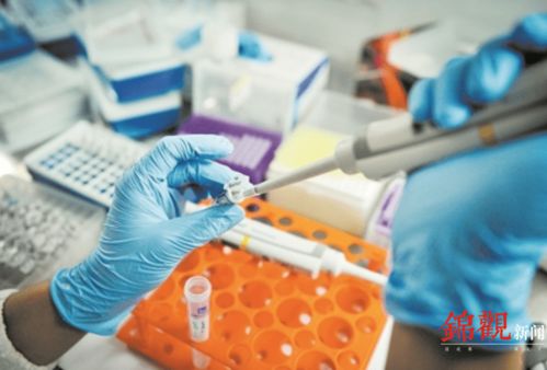 睿樂達再次吸睛 從機器人到原研藥，看成都566.8億元高新技術產(chǎn)品背后的創(chuàng)新韌性